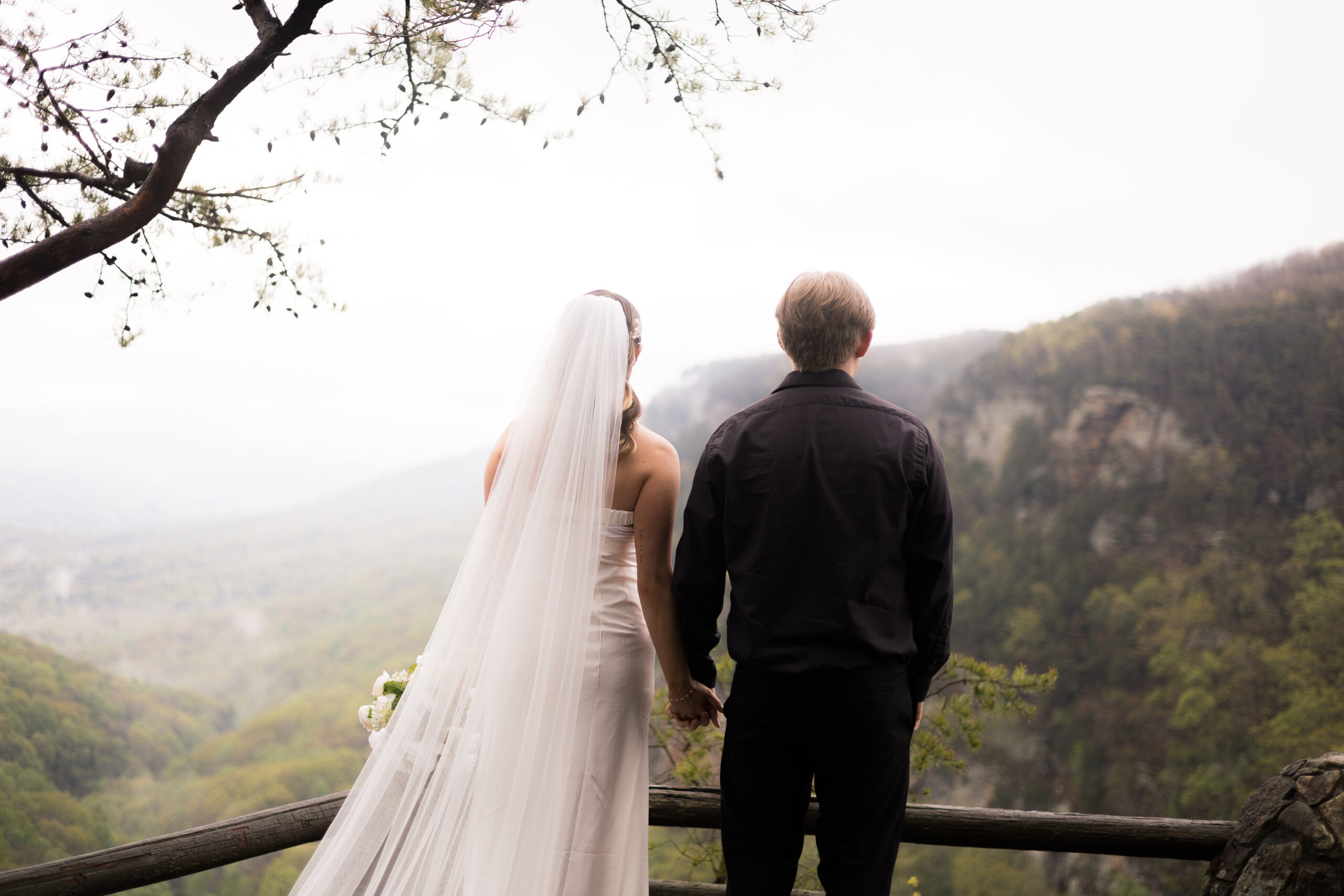Main Overlook Wedding Photos in Cloudland Canyon